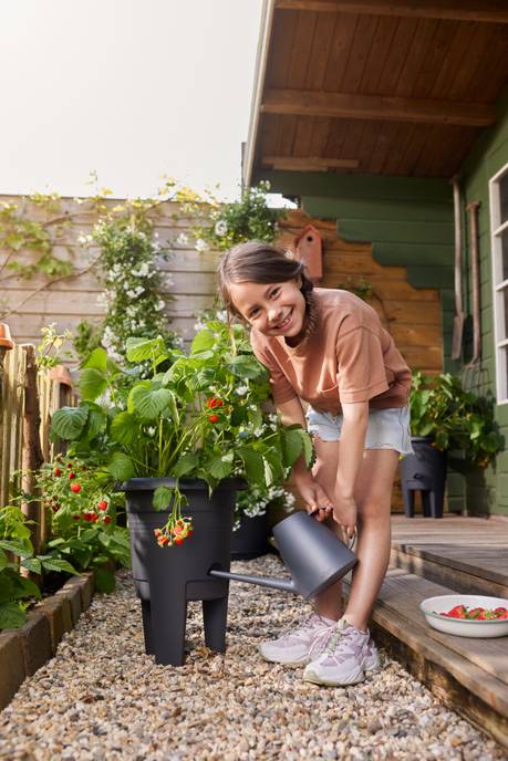 green basics pot à fraises 33cm living noir